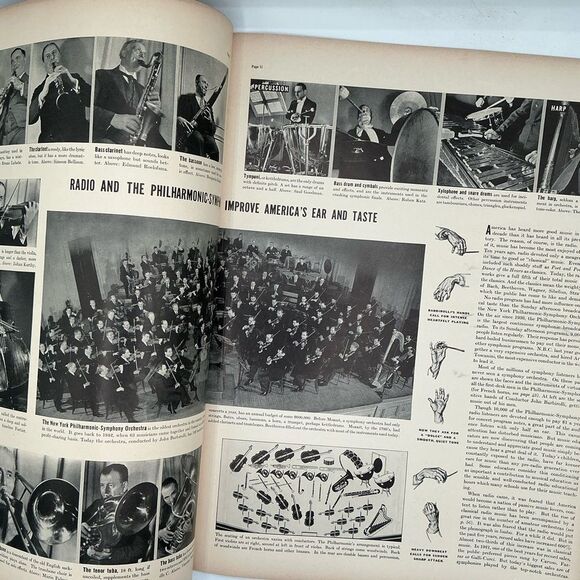 Labrador Retriever LIFE Magazine December 1938 - Picture 5 of 7